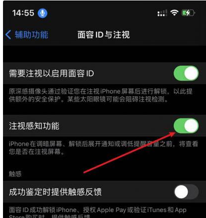 大连苹果14维修网点分享iPhone14注视感知功能有什么用 