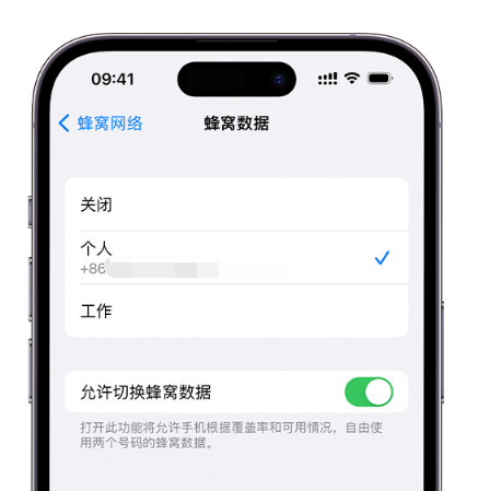 大连苹果维修服务分享如何在iPhone上使用双卡 